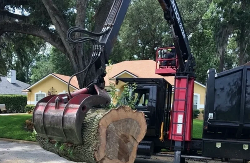 http://Crane-assisted%20tree%20work