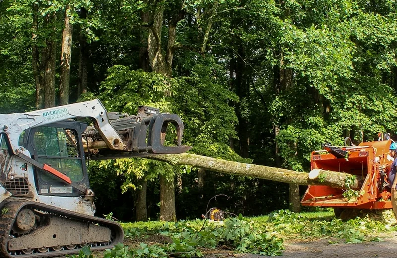 http://Lot%20clearing%20and%20stump%20grinding%20equipment