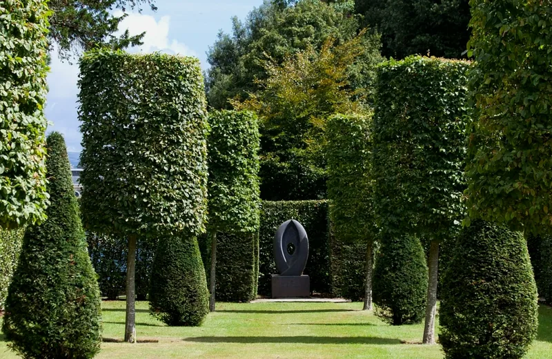 http://Professionally%20planted%20and%20maintained%20trees