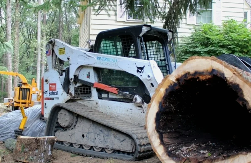 http://Tree%20removal%20equipment