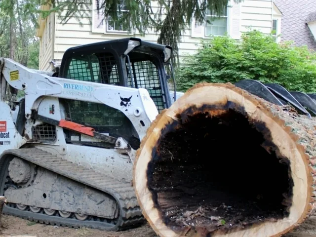 http://Stump%20removal%20equipment