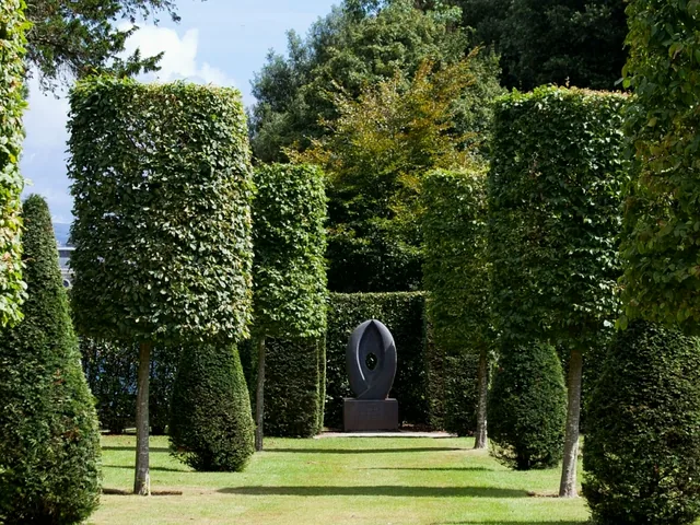 http://Professionally%20maintained%20trees