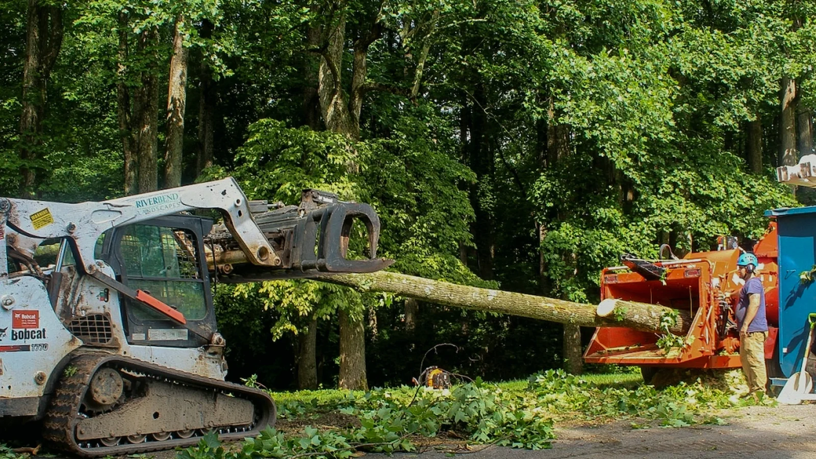 http://Tree%20service%20crew%20working%20on%20a%20tree%20project